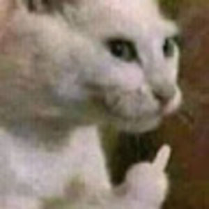 Meet your Posher, Jade